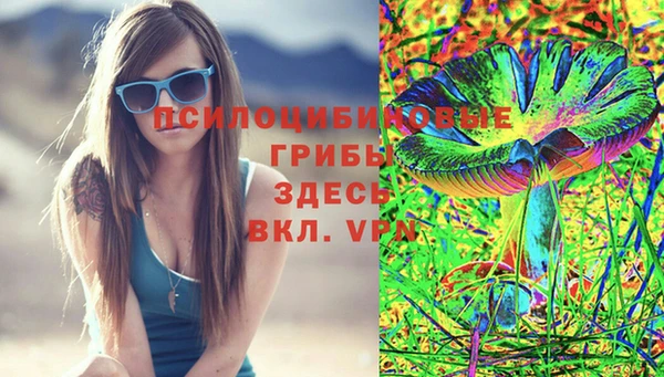 синтетический гашиш Алексеевка