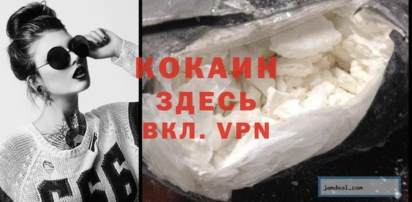 крисы Алексин